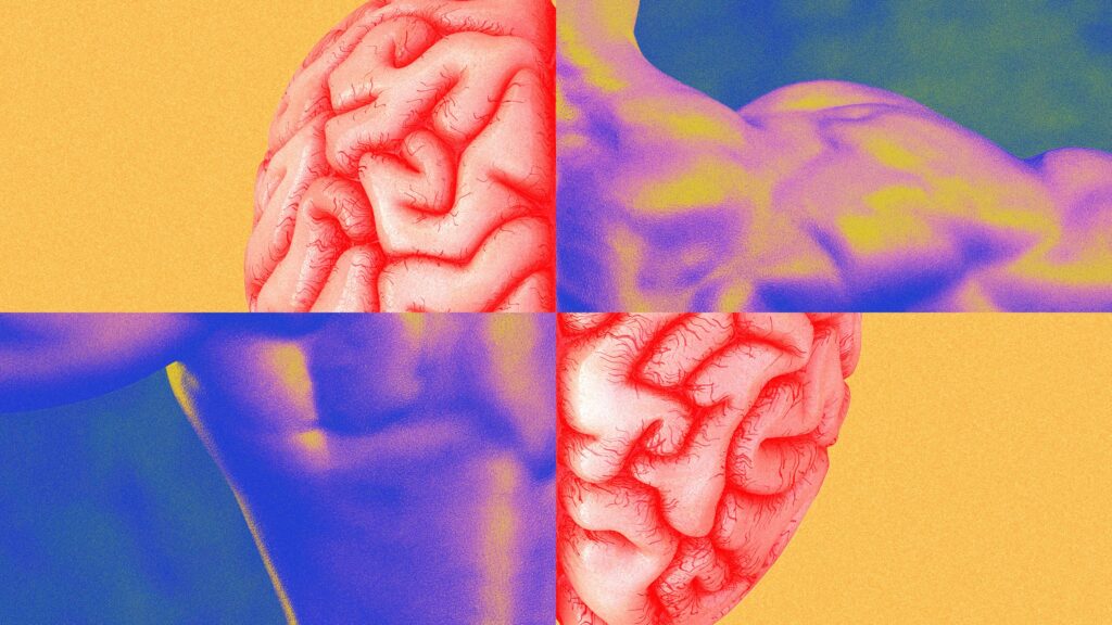 Muscle Memory Isn’t What You Think It Is 15 Book Excerpt Muscle Memory Culture ZnORsU