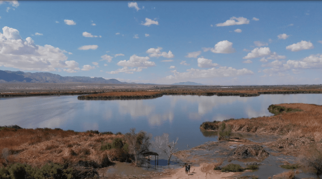 This Artificial Wetland Is Reusing Wastewater to Revive a Lost Ecosystem 16 Las20Arenitas20un20humedal20artificial20disenCC83ado20para20pulir20aguas20residuales20de20Mexicali. UbRdo1