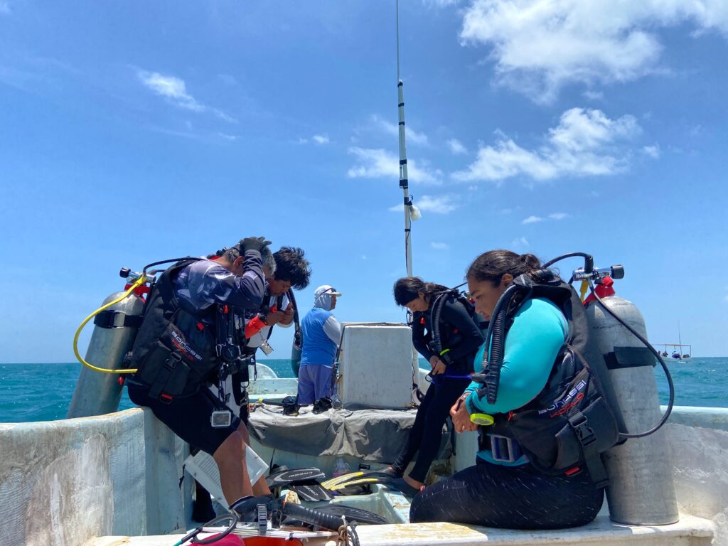 How Mexico’s Fishing Refuges Are Fighting Back Against Poaching 9 Buzos20monitores20comunitarios20entran20a20la20Zona20de20Refugio20Pesquero20de20CelestuCC81n20 mD6rEf