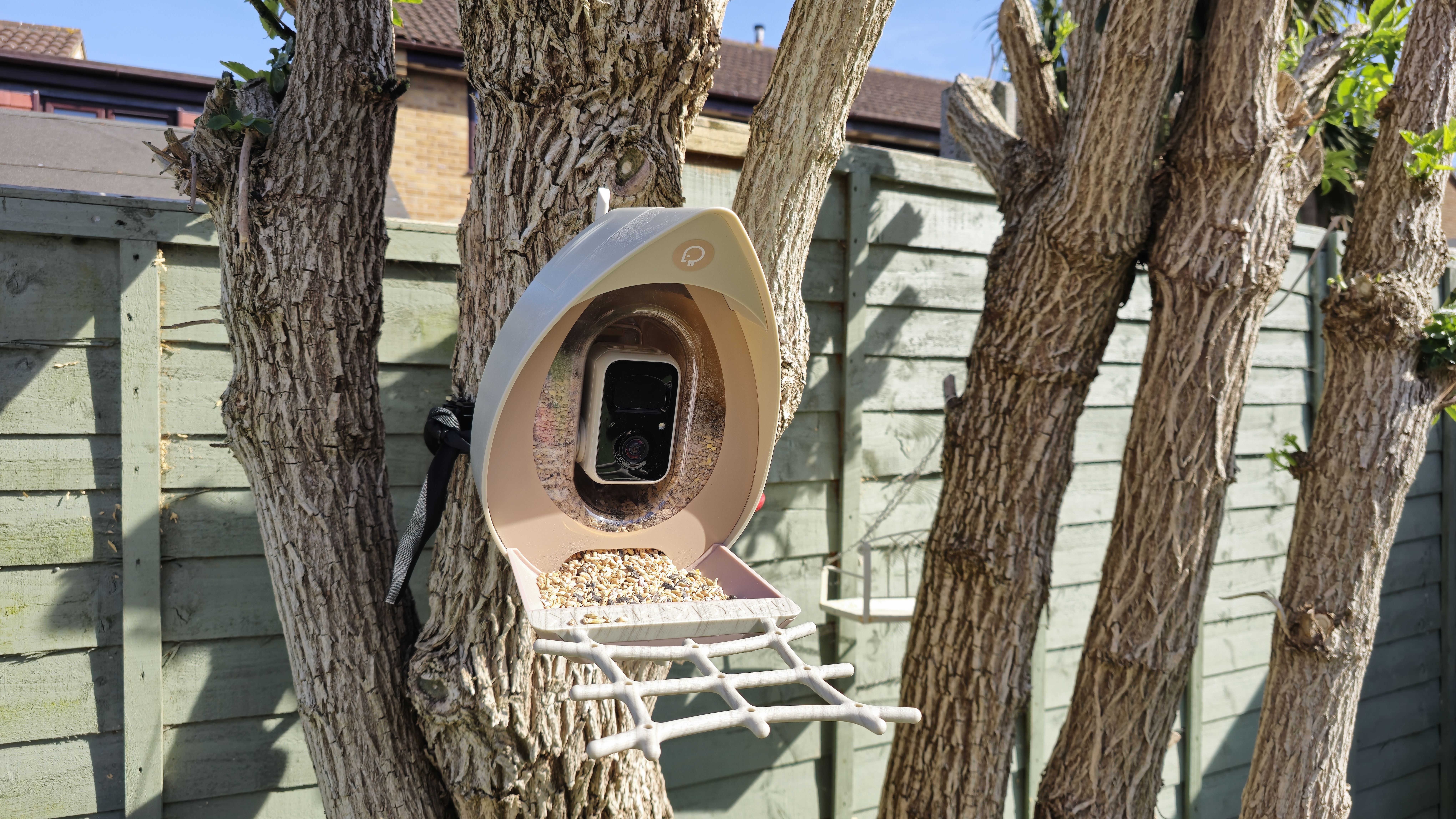 X9QbV72pR9TyNYj3WSUSSZ zzNZPQ