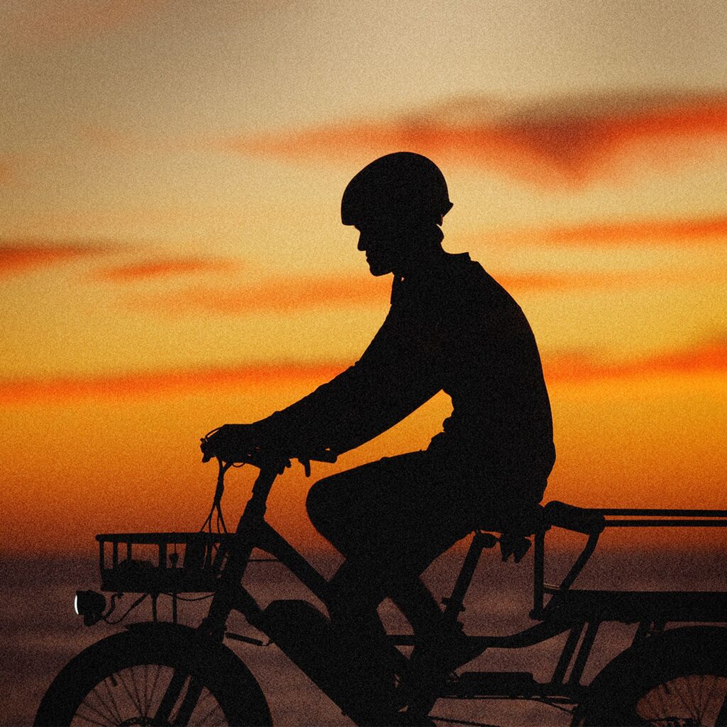 ebike share gear 2033886000 G9hjw6