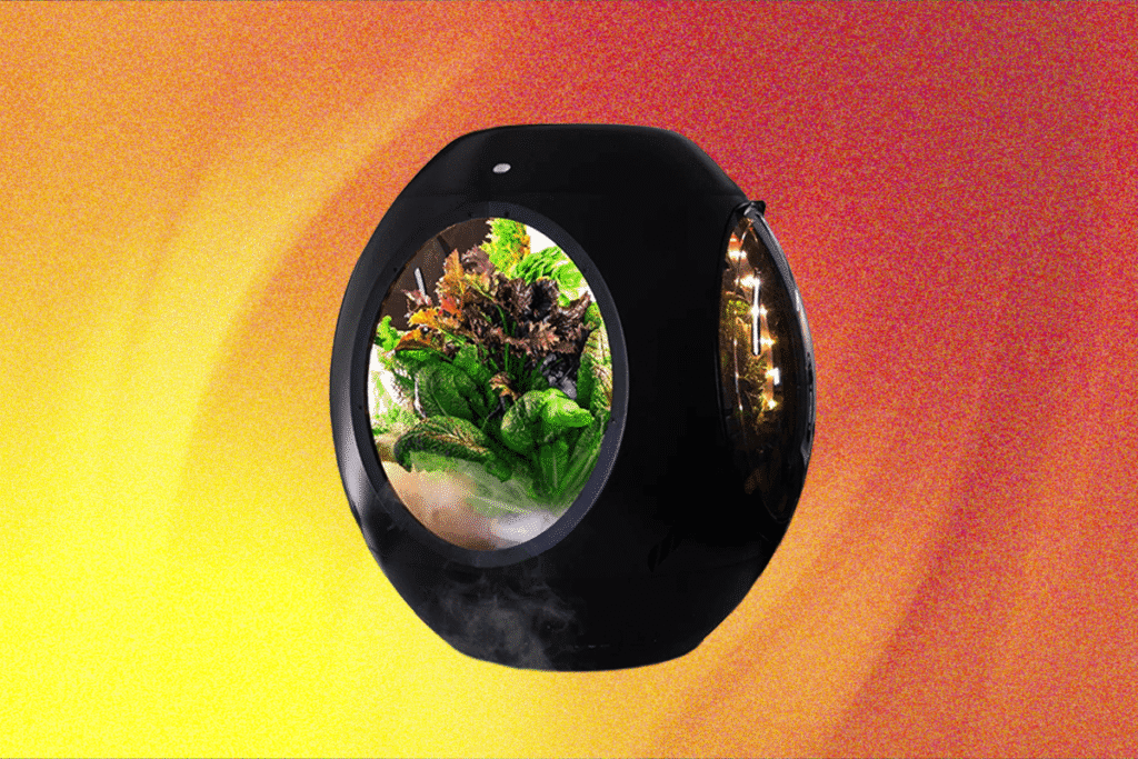Review 20Plantaform20Smart20Indoor20Garden NABheU