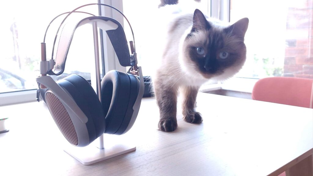 k8PF7cpq9r2FM7f5nS9MdL 2HeUFH