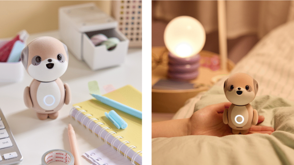 CgdF7MxKRGJ2C8MHFinLxj 1280 80 MEjHmV