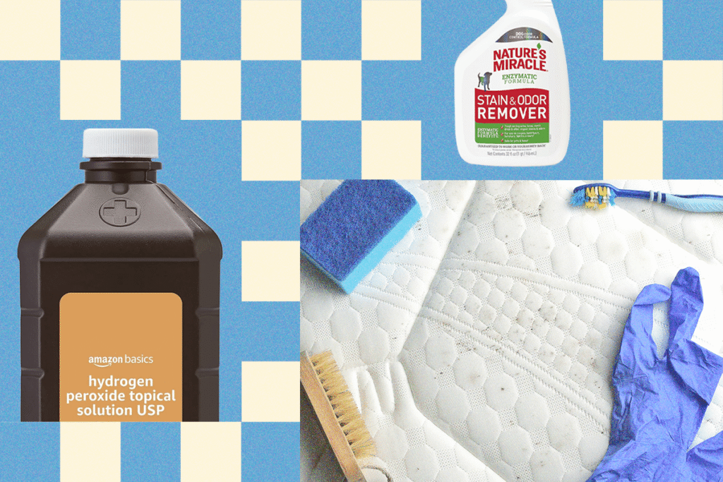 How to Clean Your Mattress (2025) 14 How20to20Clean20Your20Mattress N248bx