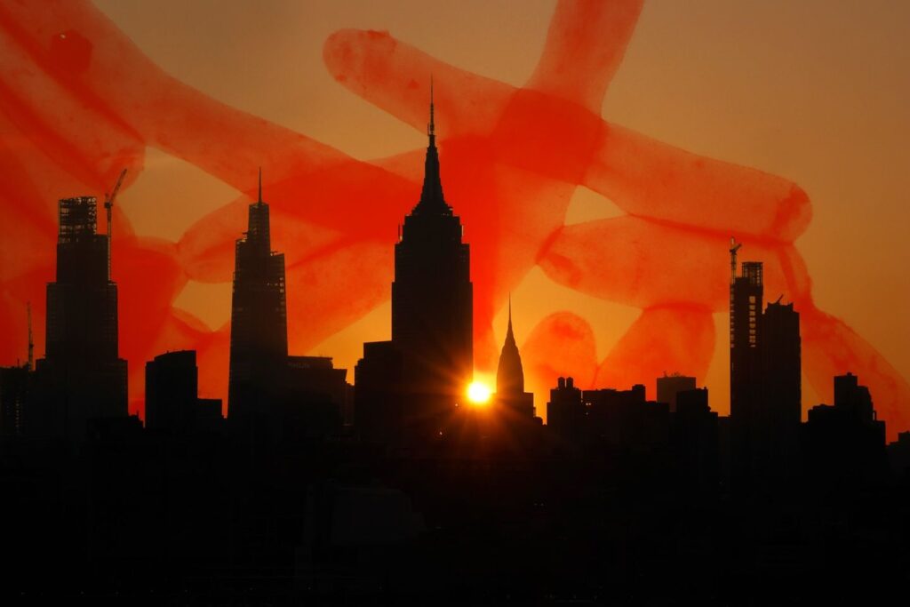 Legionella Vox 2 57fOKc