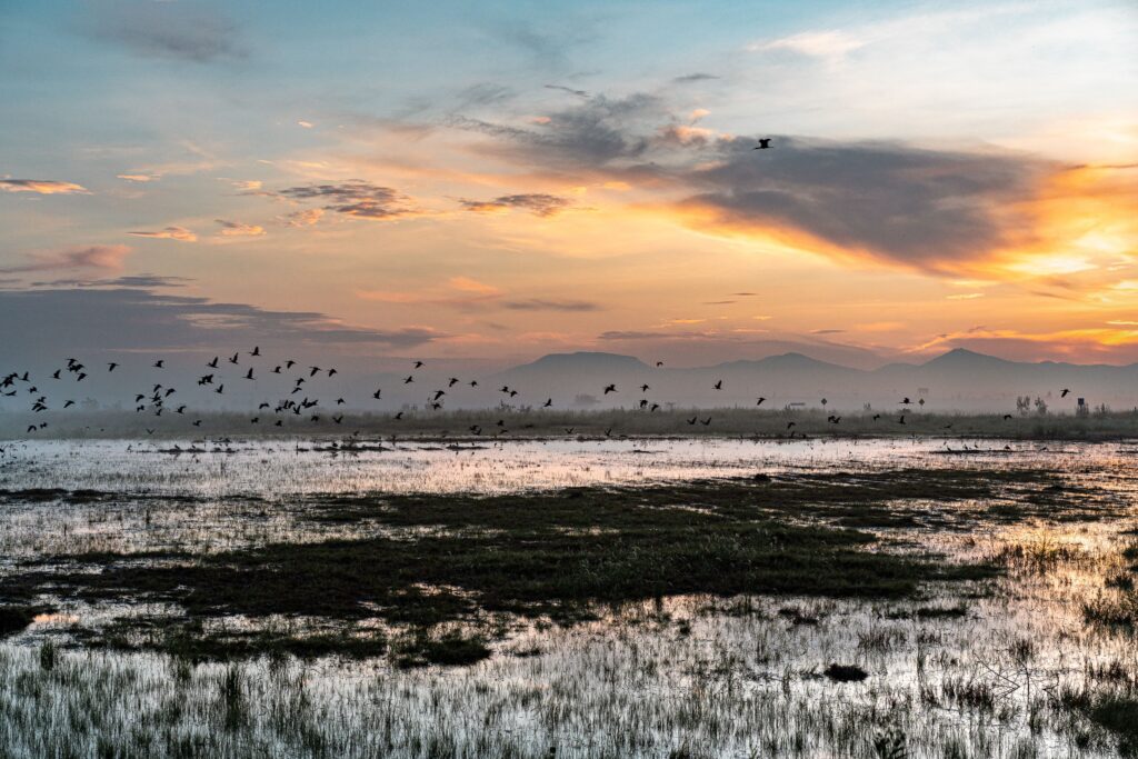 Rainfall Buries a Mega-Airport in Mexico 11 3 4AZbGE