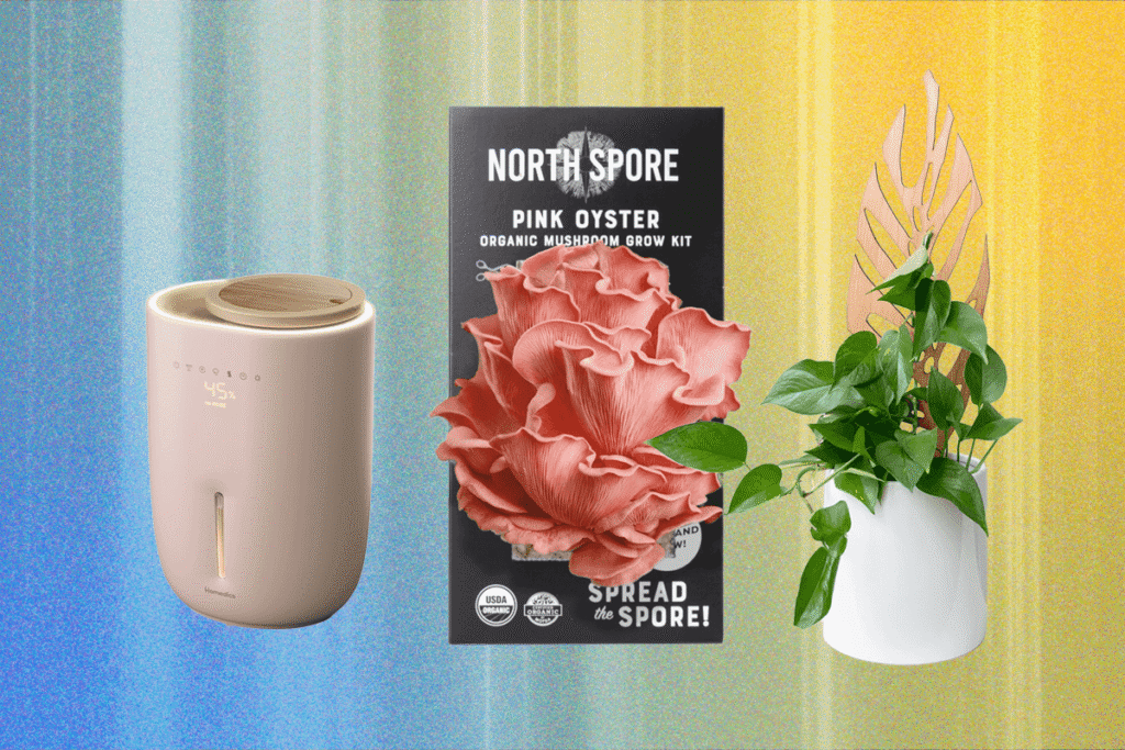 The201420Best20Gifts20for20Plant20Lovers qkGzK8