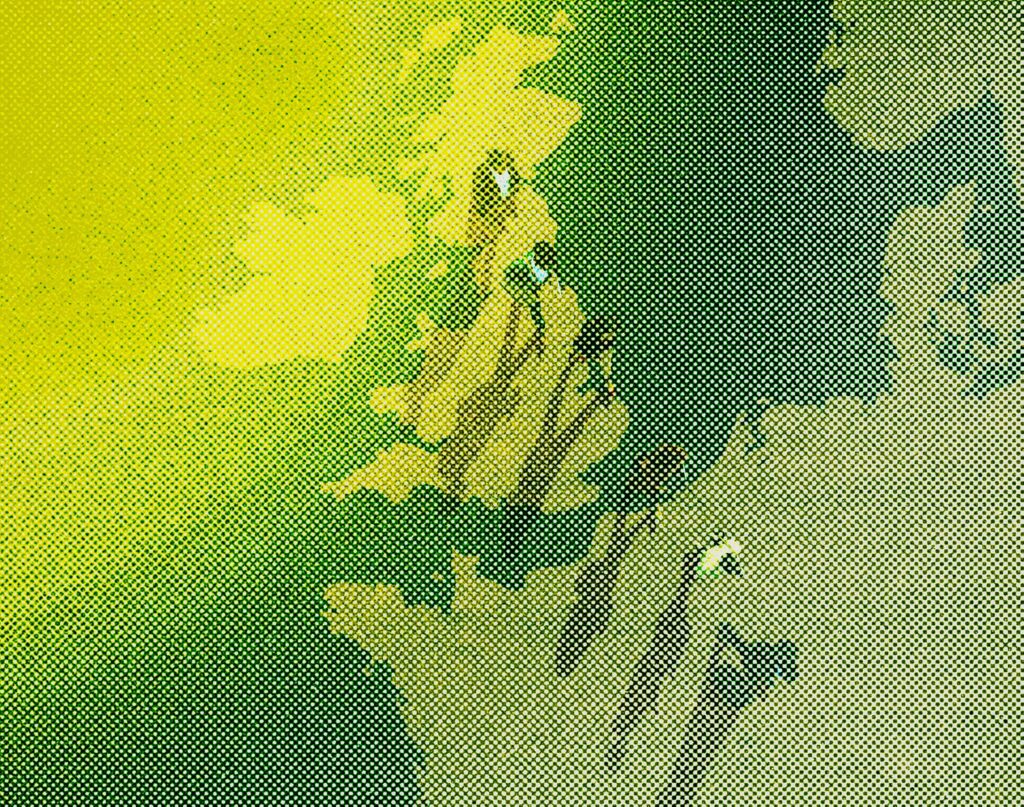 The New Power of Far-Right Influencers 16 Uncanny Valley GettyImages 912015482 rfwN2o