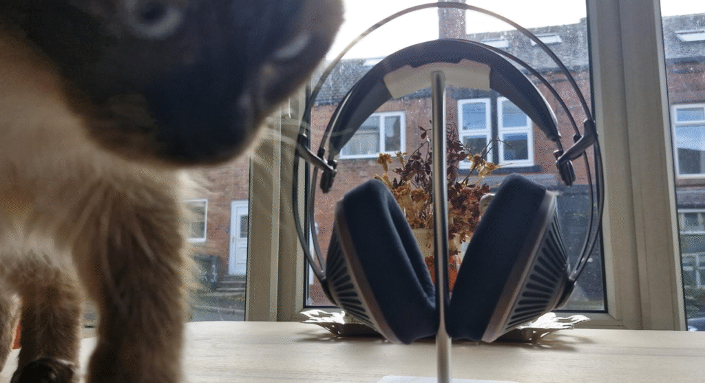 tVJAJYEmS9vcJFZ4erFCJ 1280 80 Mkm5kv