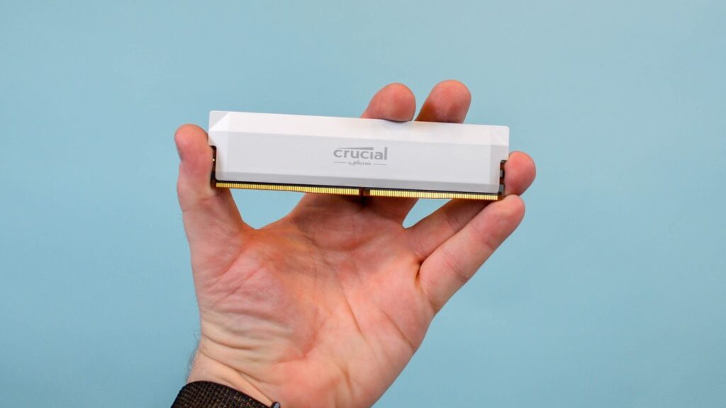 gXA9AoGpbmd6V2XRbjW6SF 1280 80 U1xToY